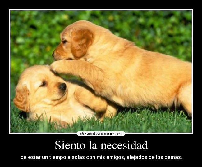 Siento la necesidad -