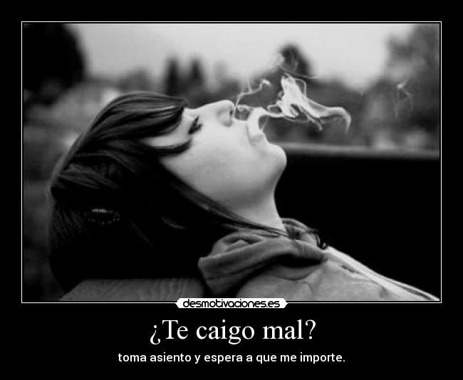 ¿Te caigo mal? - toma asiento y espera a que me importe.