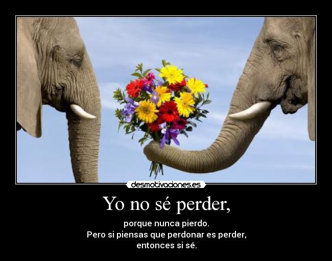 Yo no sé perder, - porque nunca pierdo.
Pero si piensas que perdonar es perder,
entonces si sé.