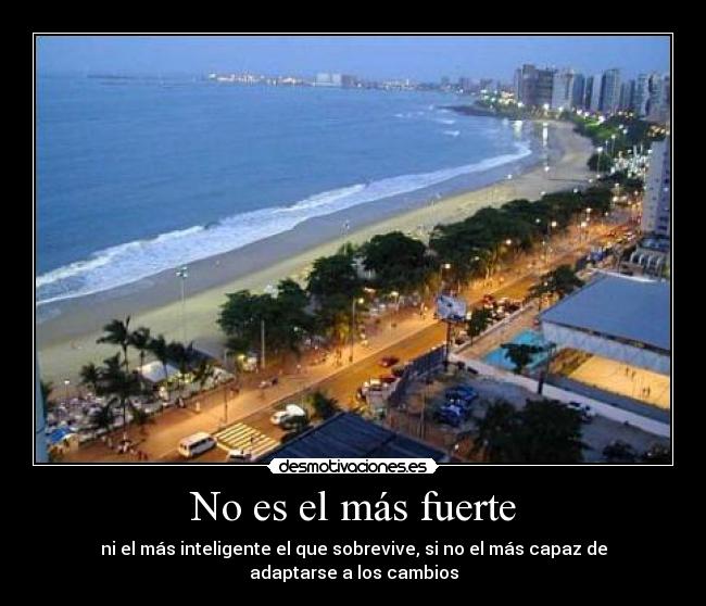 No es el más fuerte -