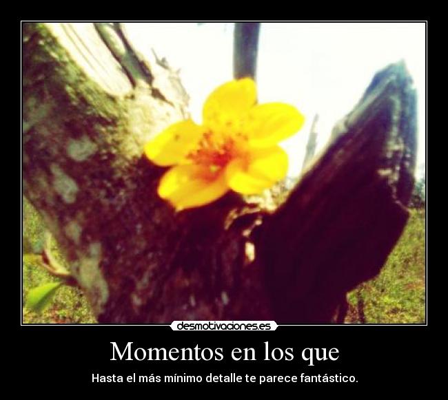 Momentos en los que - 