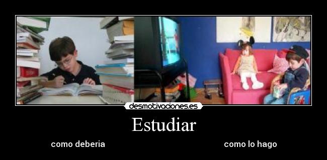 carteles sirley desmotivaciones