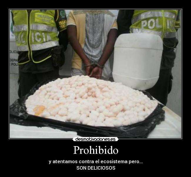 carteles pacohhh huevos iguana prohibida distribucion desmotivaciones