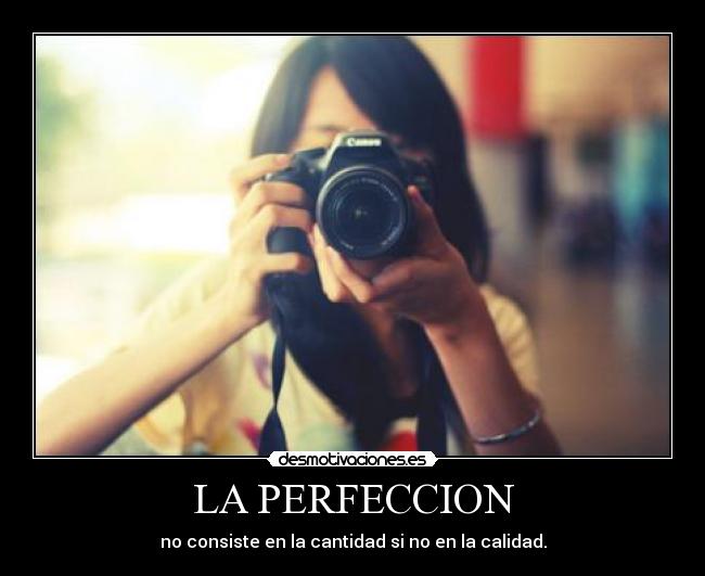 LA PERFECCION - 