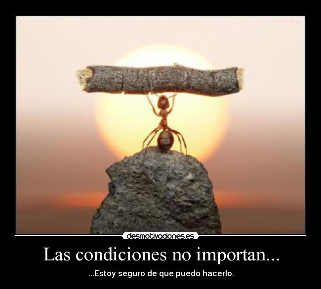 Las condiciones no importan... - ...Estoy seguro de que puedo hacerlo.