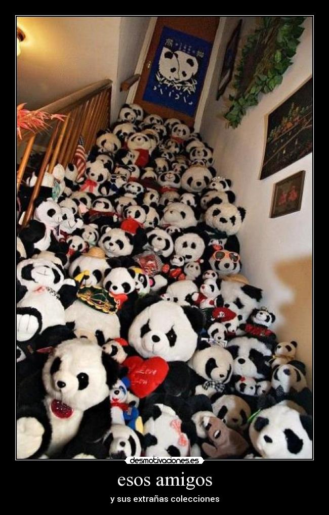 esos amigos - y sus extrañas colecciones