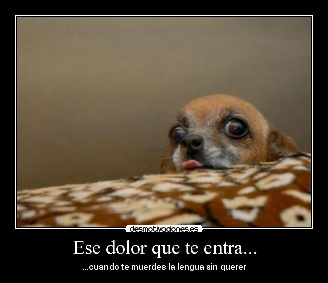 carteles dolor cuando muerdas sin querer lengua desmotivaciones
