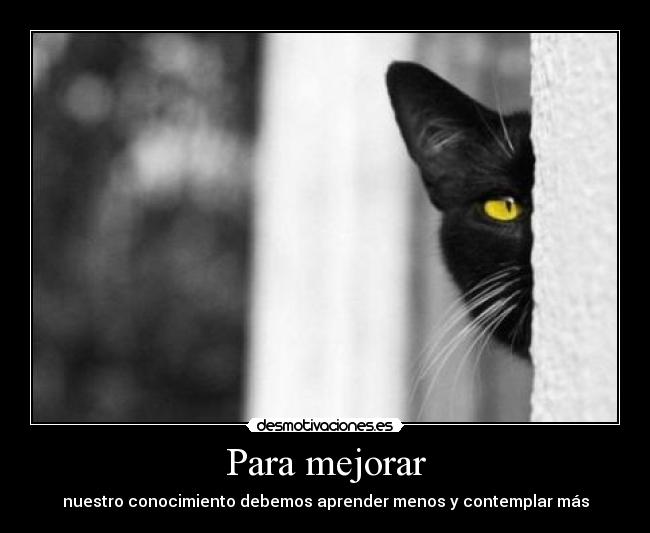 Para mejorar - nuestro conocimiento debemos aprender menos y contemplar más