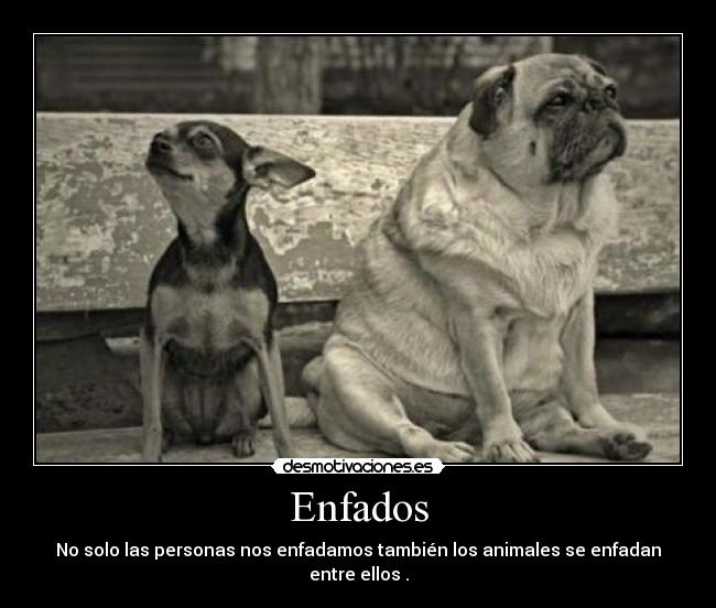 carteles enfados enfados desmotivaciones