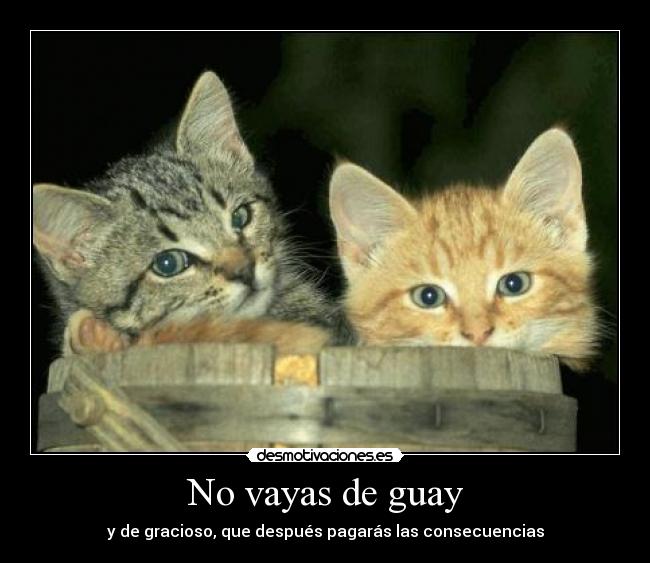 carteles xdd desmotivaciones
