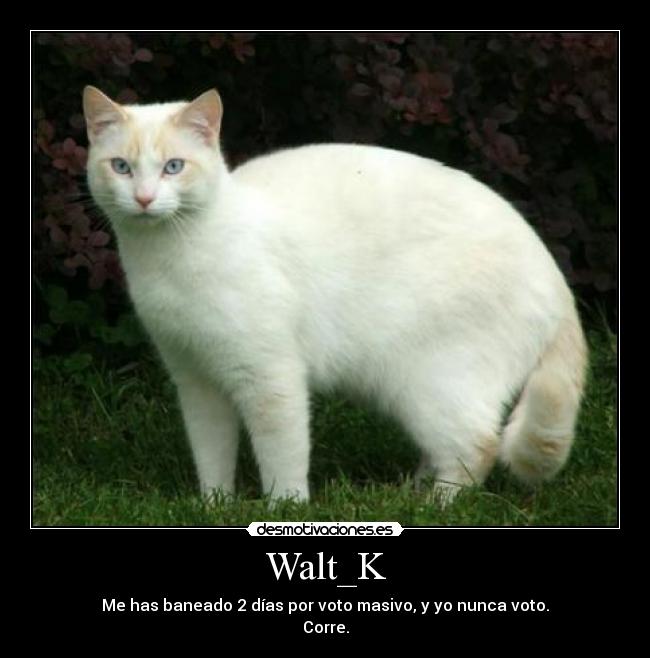 Walt_K -