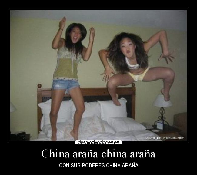 carteles china arana desmotivaciones