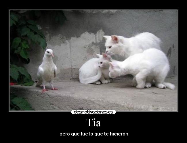 Tia - 