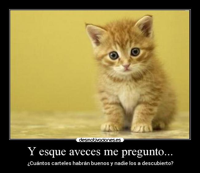 Y esque aveces me pregunto... -