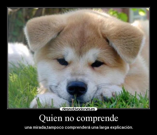 carteles desmotivaciones