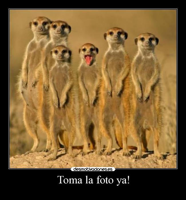 Toma la foto ya! - 