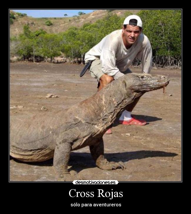Cross Rojas -