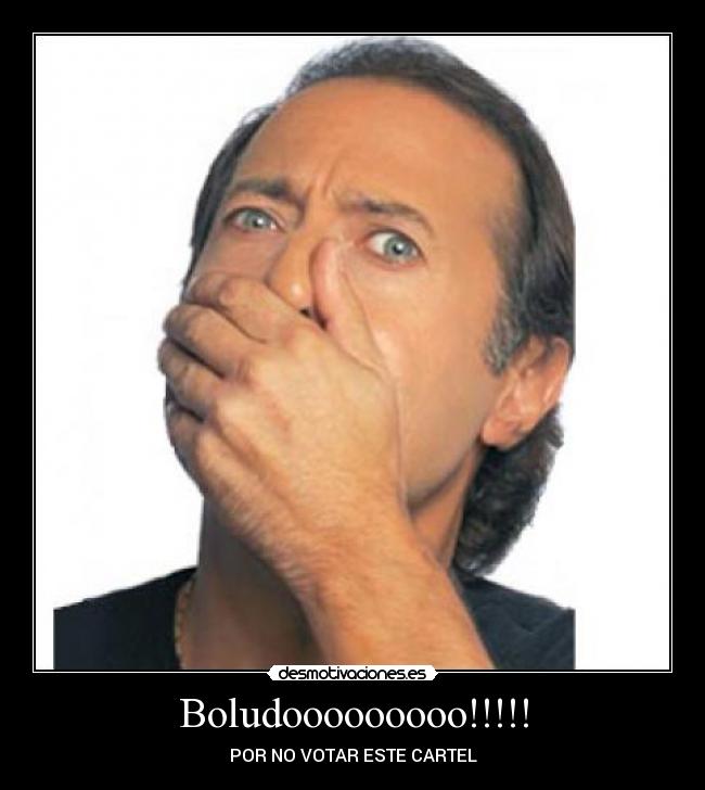Boludooooooooo!!!!! - POR NO VOTAR ESTE CARTEL