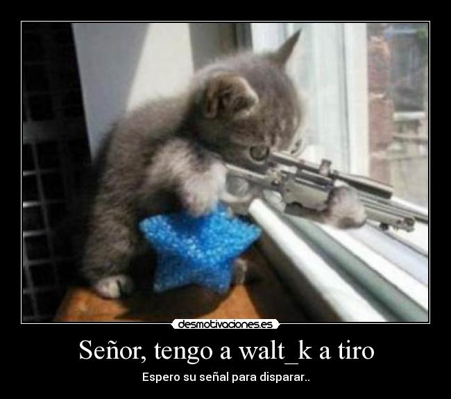 Señor, tengo a walt_k a tiro -