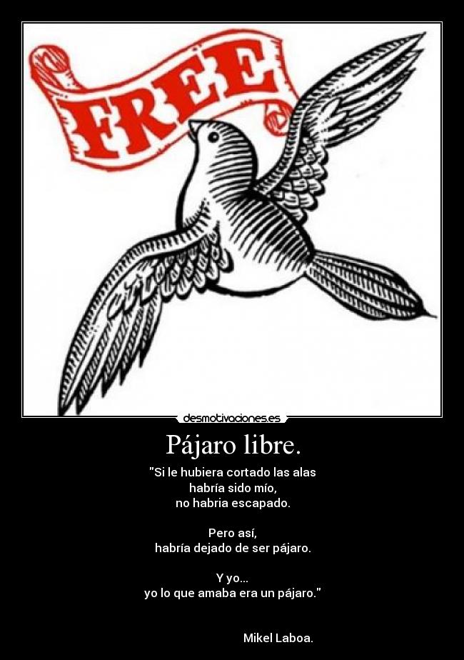 Pájaro libre. - 