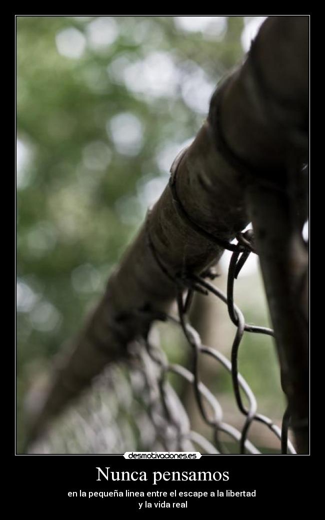 Nunca pensamos - en la pequeña linea entre el escape a la libertad
y la vida real