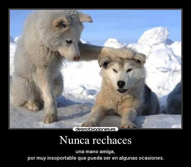 Nunca rechaces -
