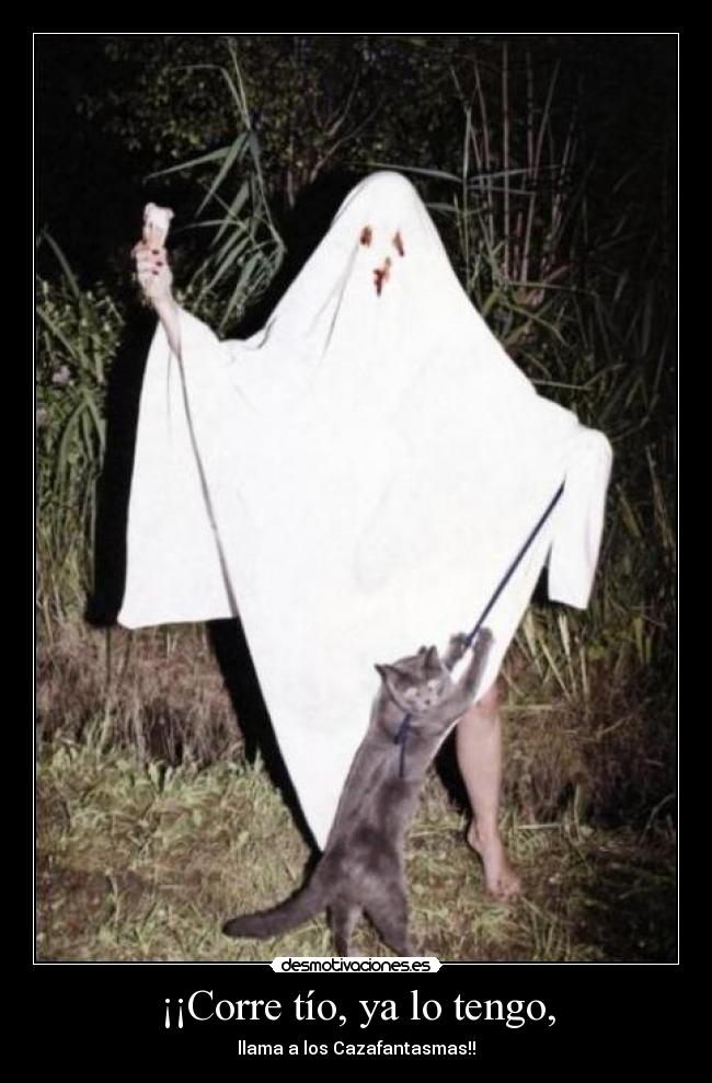 ¡¡Corre tío, ya lo tengo, - llama a los Cazafantasmas!!