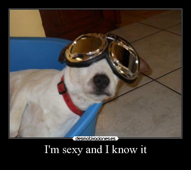 Im sexy and I know it -
