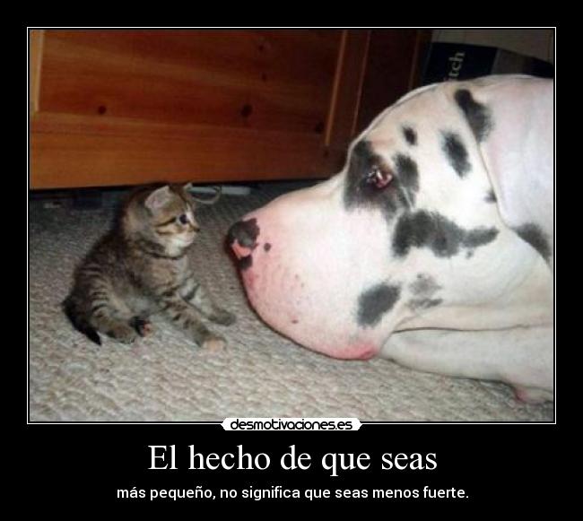 El hecho de que seas - más pequeño, no significa que seas menos fuerte.