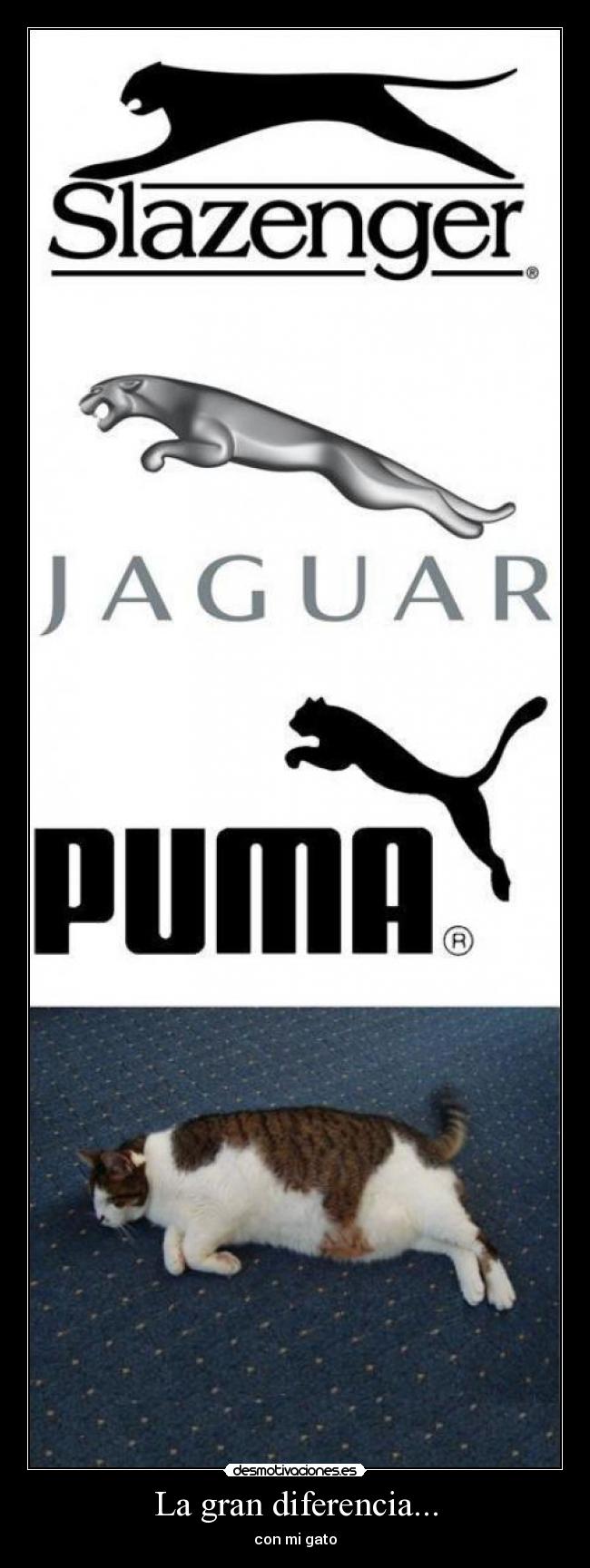 carteles wdwd desmotivaciones