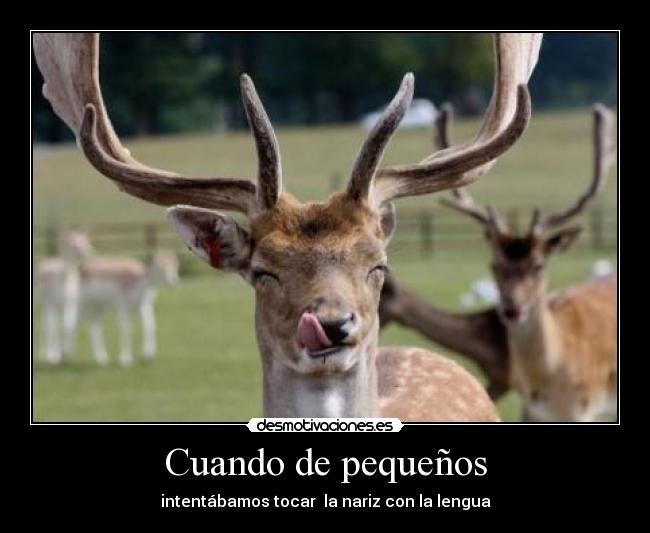 Cuando de pequeños - intentábamos tocar la nariz con la lengua