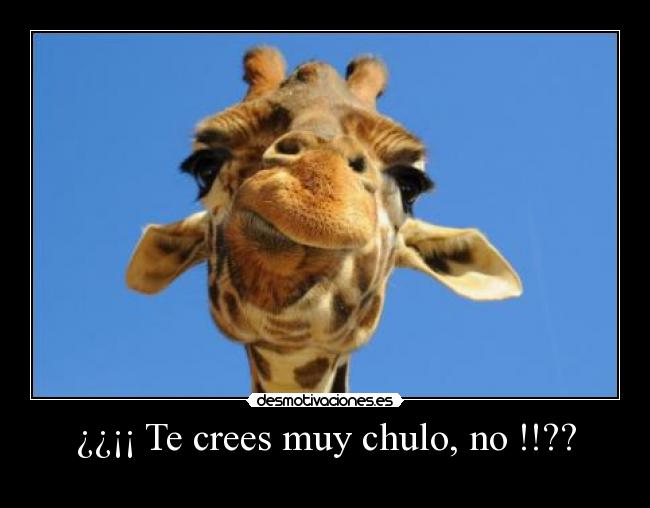 carteles albertop desmotivaciones