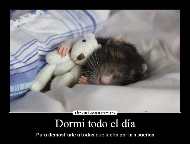 Dormi todo el día - 