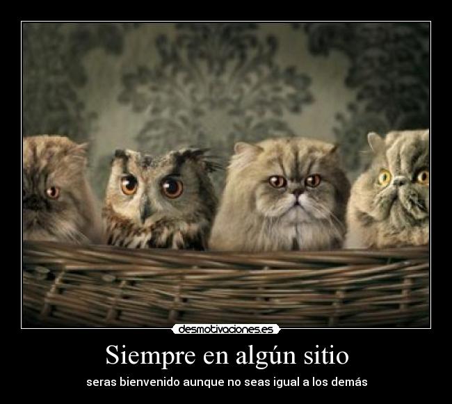 Siempre en algún sitio -