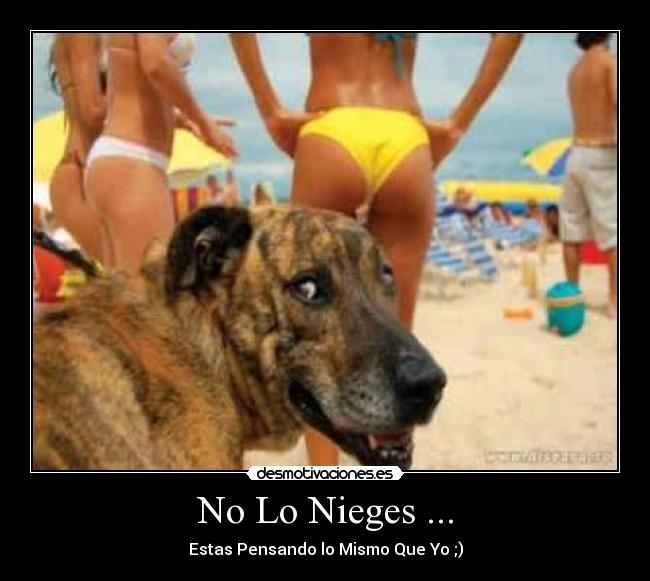 No Lo Nieges ... -