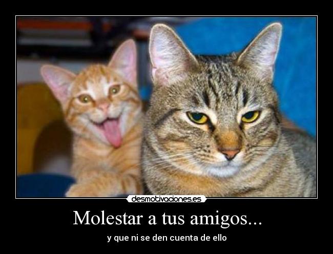 Molestar a tus amigos... -