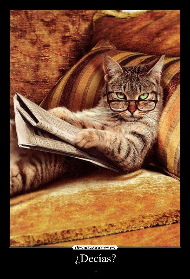 carteles aun estoy esperando tienes minutos para explicar semejante tonteria desmotivaciones