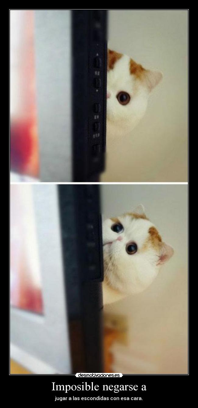 Imposible negarse a -