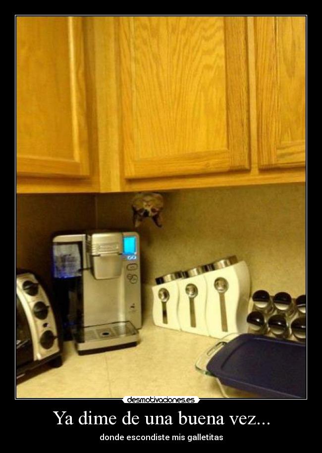 carteles wewd desmotivaciones