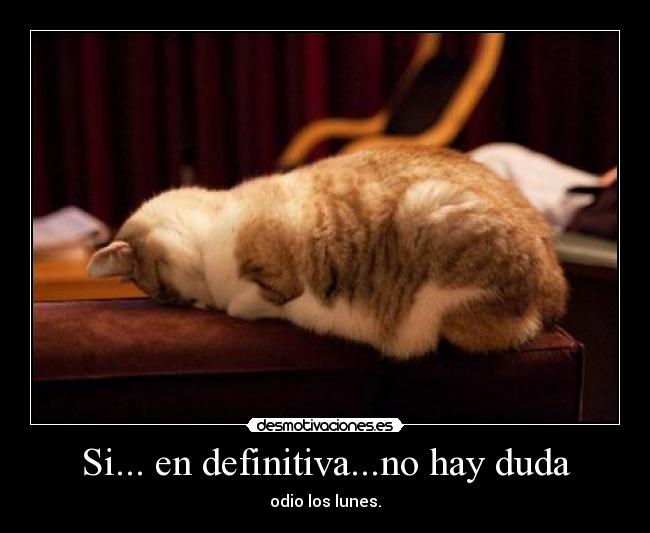 Si... en definitiva...no hay duda - 