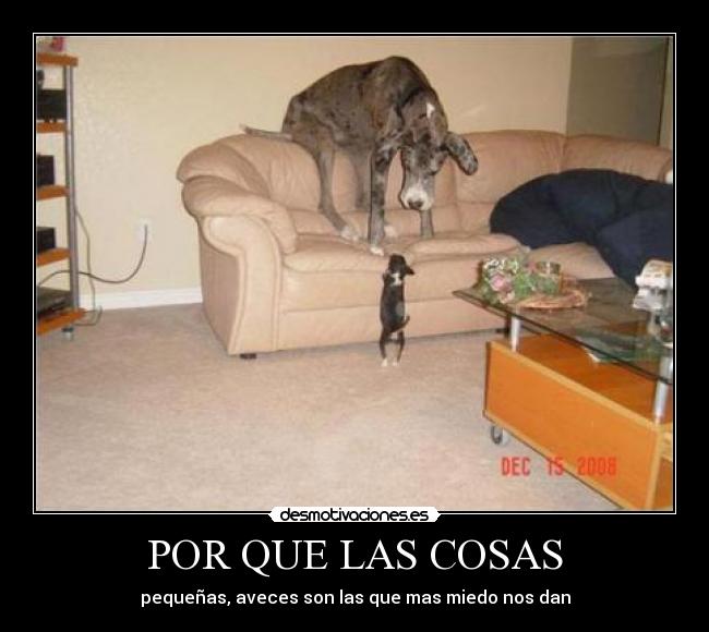 POR QUE LAS COSAS - pequeñas, aveces son las que mas miedo nos dan