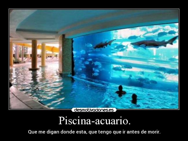 Piscina-acuario. - 