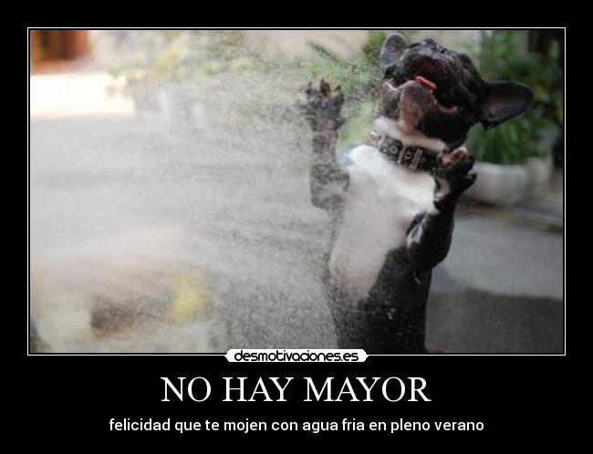 NO HAY MAYOR - felicidad que te mojen con agua fria en pleno verano