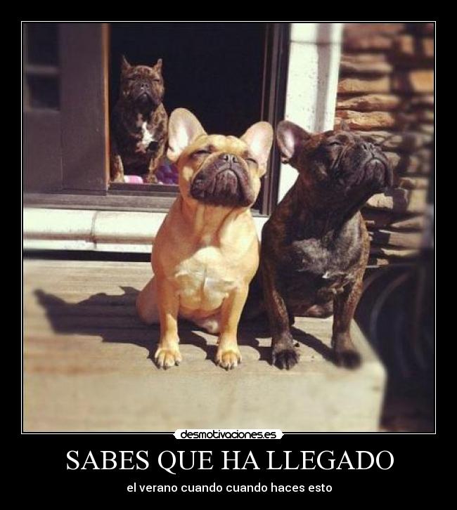 SABES QUE HA LLEGADO - el verano cuando cuando haces esto