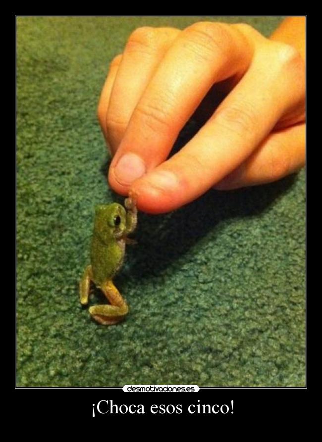 ¡Choca esos cinco! -