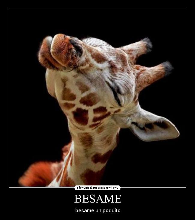 BESAME - besame un poquito