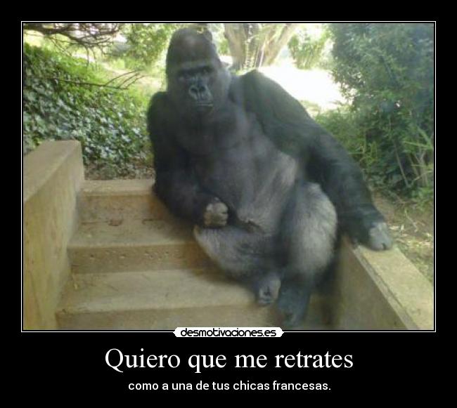 Quiero que me retrates -