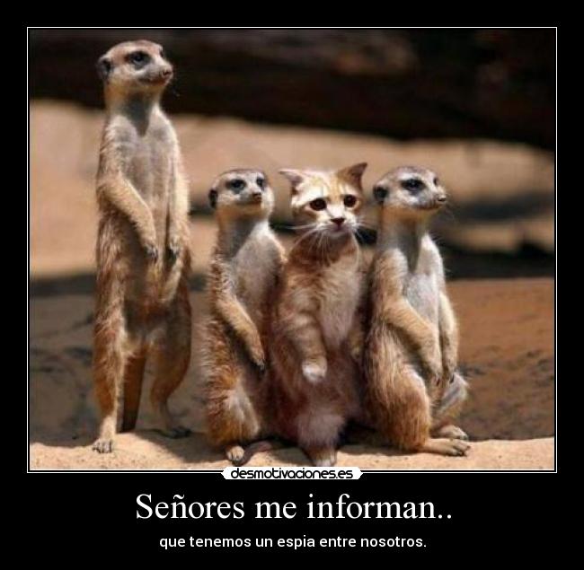 Señores me informan.. -