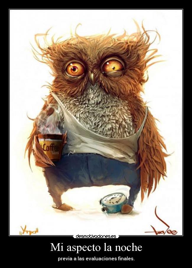 Mi aspecto la noche - 