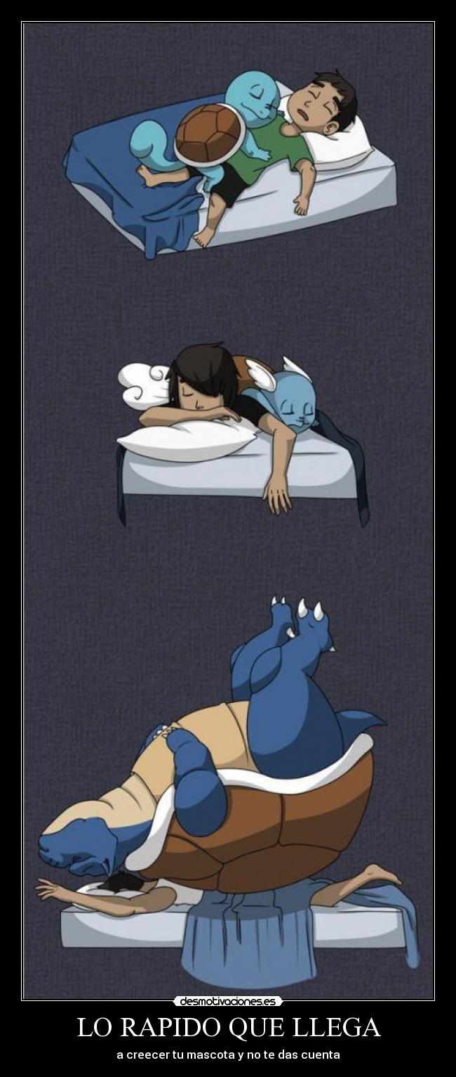 LO RAPIDO QUE LLEGA - a creecer tu mascota y no te das cuenta